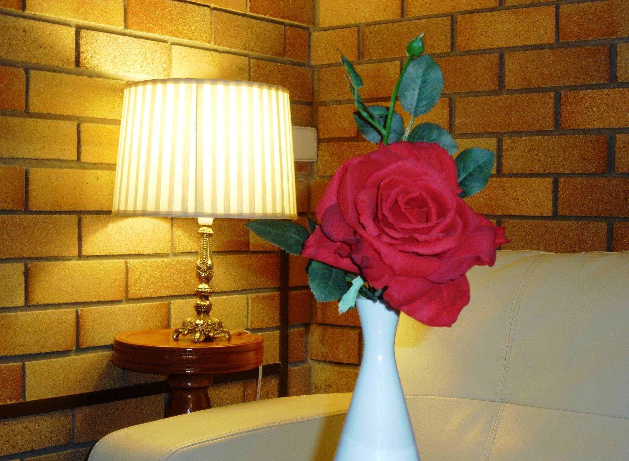 City View Motel Warwick Zewnętrze zdjęcie